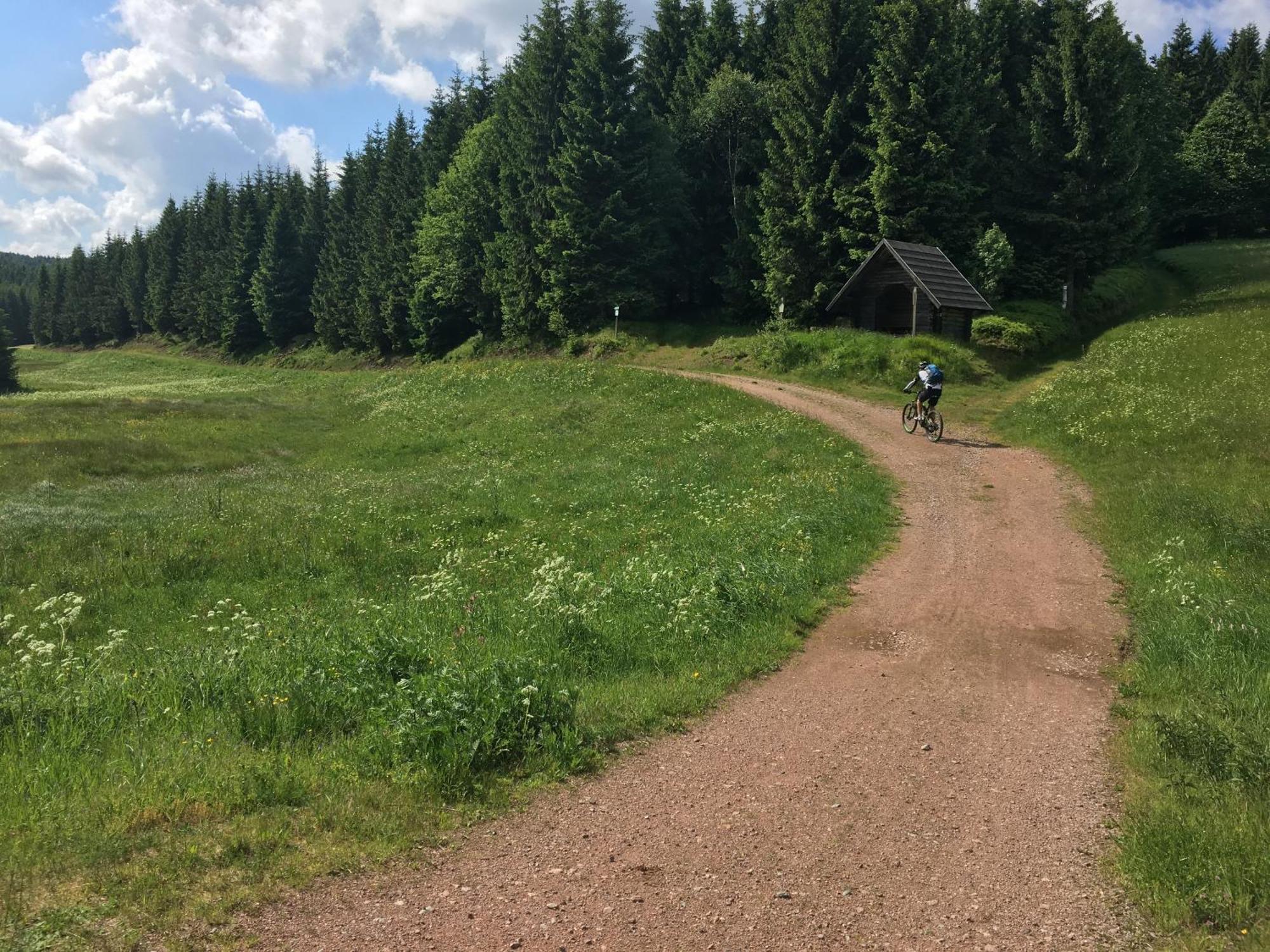 Ferienhaus Bikehuette Rehnhaeusl Geising Pokoj fotografie